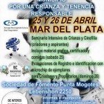 Imagen destacada del artículo «Ciudad de Mar del Plata»